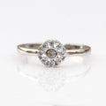 Charming Rose Cut Toe Ring - KORE JEWELS 